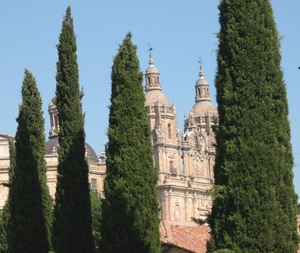 Salamanca 3 240