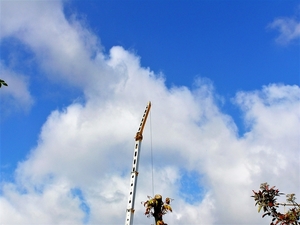 P4260002