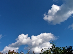 P7031790