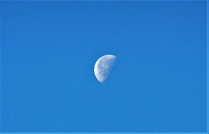 P9210046