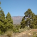 GC07-04 028