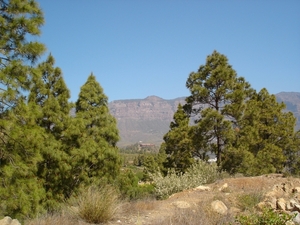 GC07-04 028