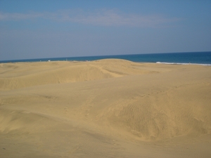 GC07-04 041
