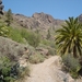 GC07-04 085