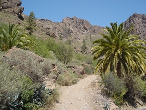 GC07-04 085