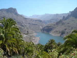 GC07-04 086