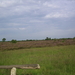 SSA40066
