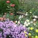 DSCN0354