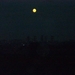 DSCN0371