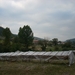 DSCN0422