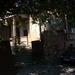 DSCN0453