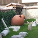 DSCN0477