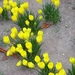DSCN0499