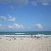 DSCN0521