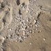 DSCN0551