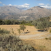 44 naar agia panagia tussen kouroutes en fourfouras