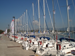 DSC00384