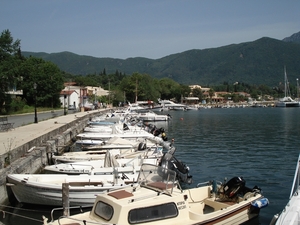 DSC00434