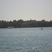 DSC00386