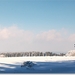 20090214 DSC_0098