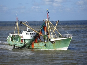 O29 vissers in aktie