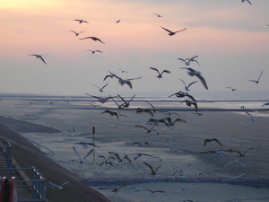 strand bij valavond