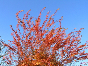 PB110011