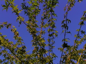 P9150010