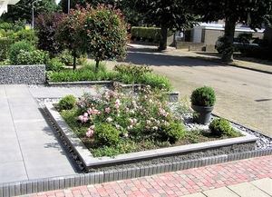 P6150006