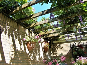 P7011771