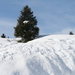 elbigenalp 002