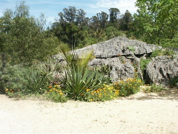 Abel Tasman nationaal park