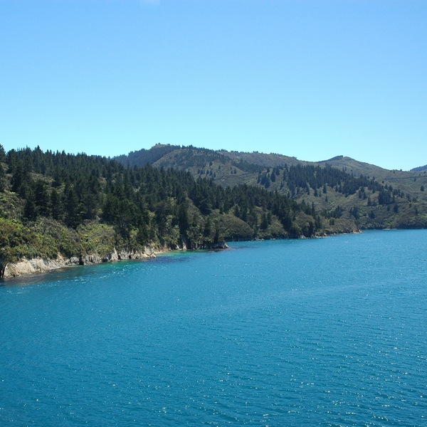 lake taupo