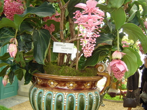 DSC00854