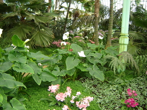 DSC00829