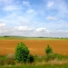 landschap 2008 306