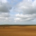 landschap 2008 312