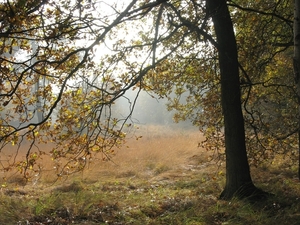 herfst sept 2008 030 (46)