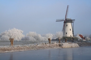 Molen aan Damse vaart