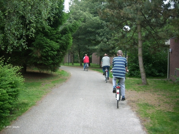 sized_sized_DSCI5280