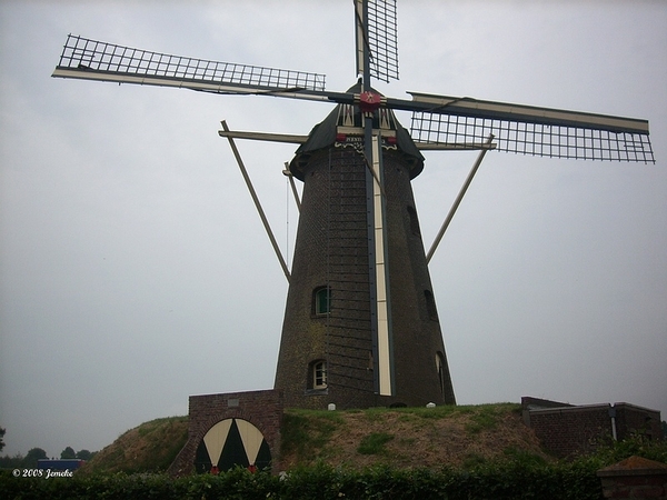 sized_sized_DSCI5346