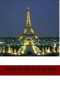 Publicatie3
