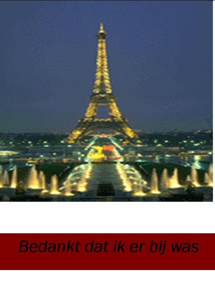 Publicatie3