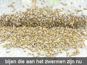 buurtlink weert 015