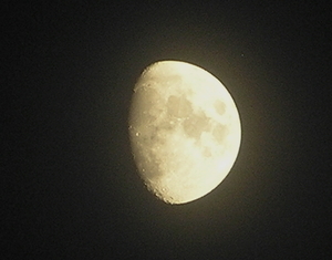 junie 2010 078