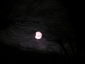 januari 2011 031