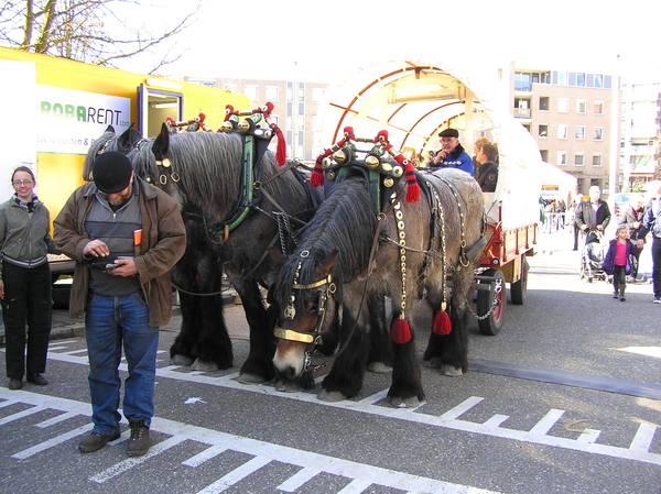 paardenmarkt 006