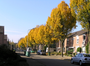 novemb 2011 053