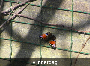 maart 2012 004