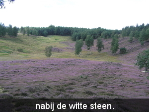 P9010008